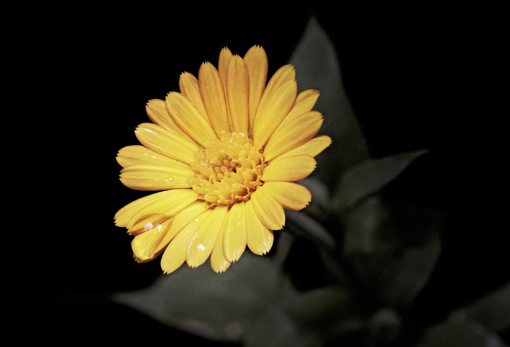 Photograph by Дёгтев Евгений