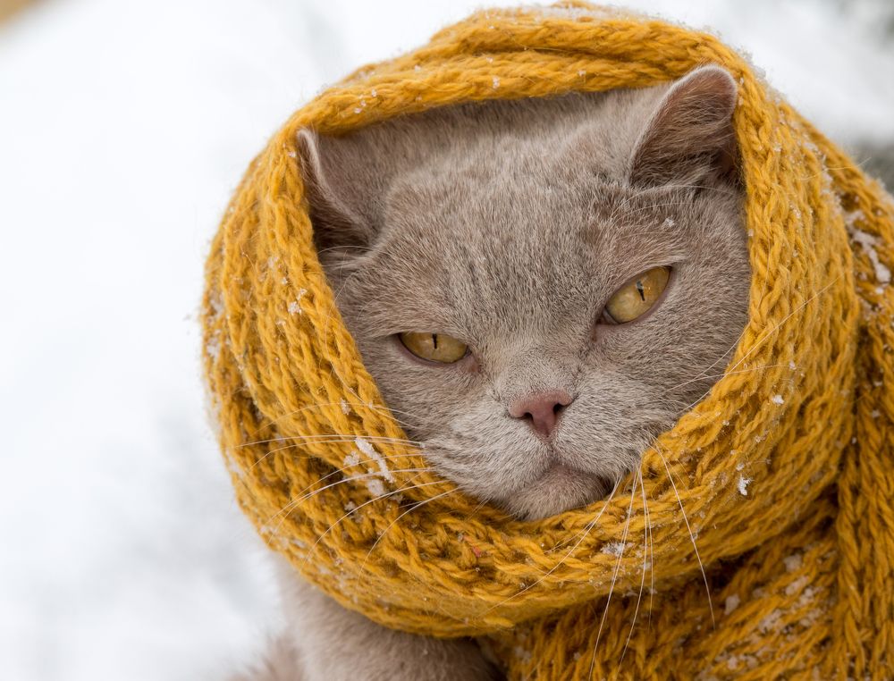 Photograph by Руслан Гончар