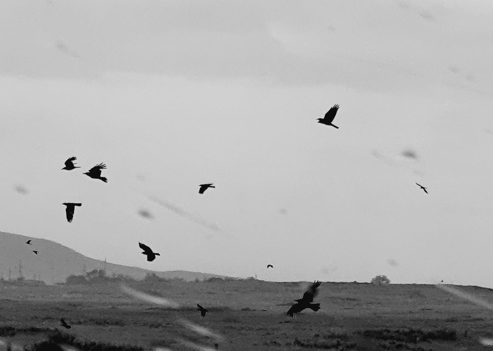 Photograph by Яна Истоцкая