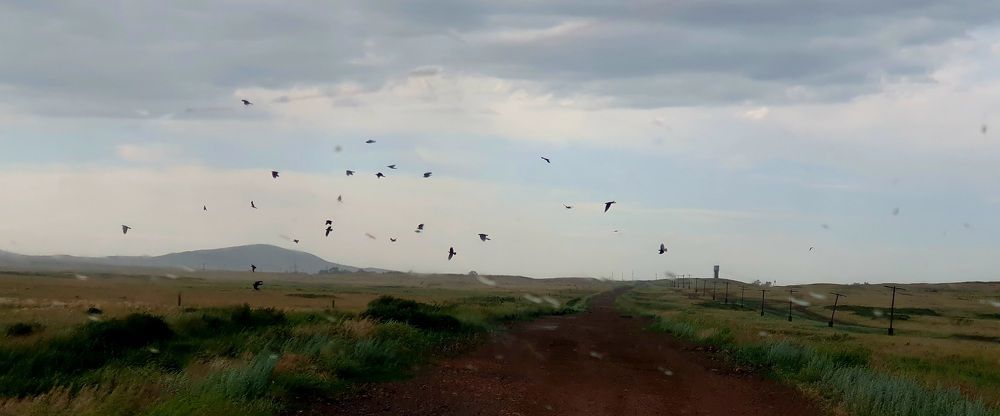 Photograph by Яна Истоцкая