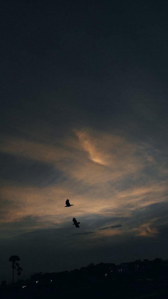 Фотография автора Mevin Kanishkar