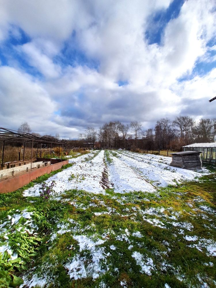 Фотография автора Каргин Валерий
