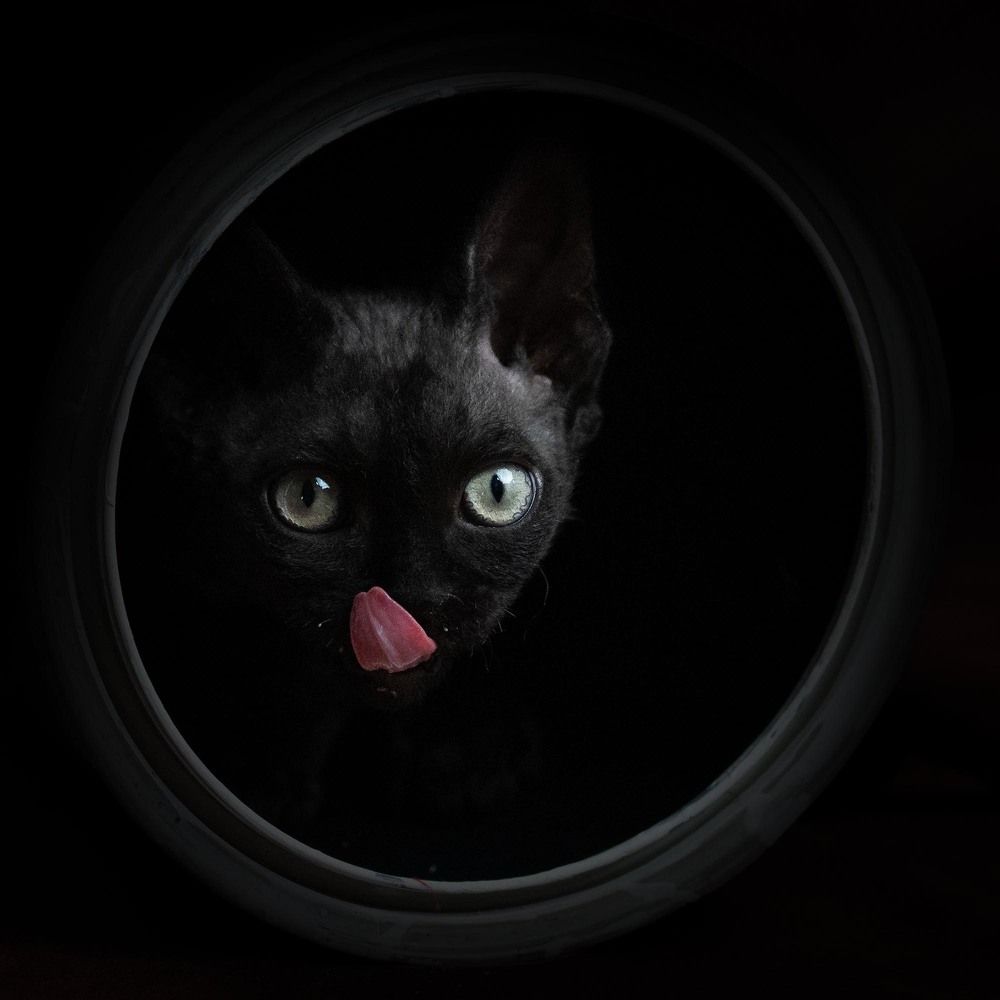 Photograph by Irina Kozhemyakina