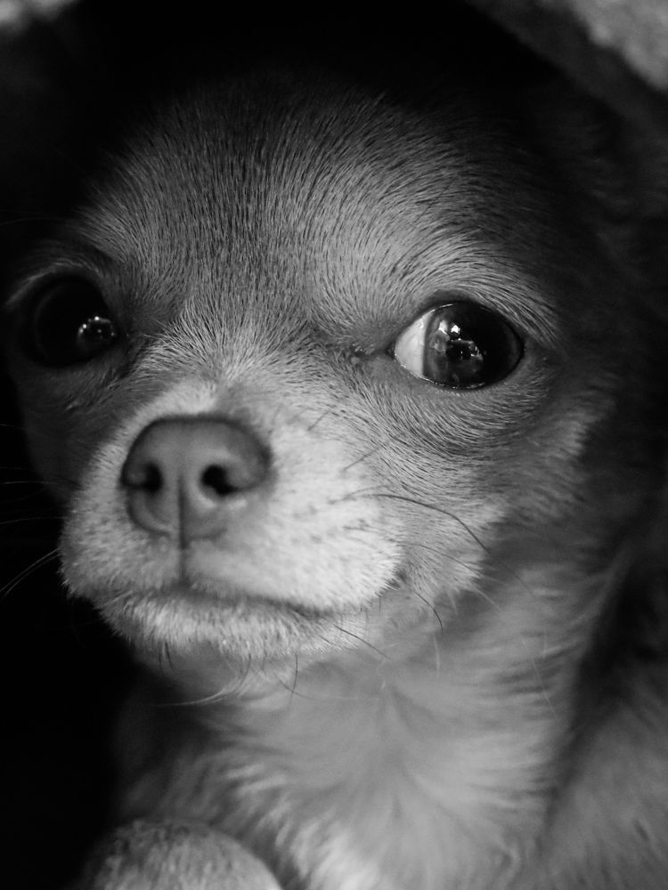 Photograph by Екатерина Слепнева