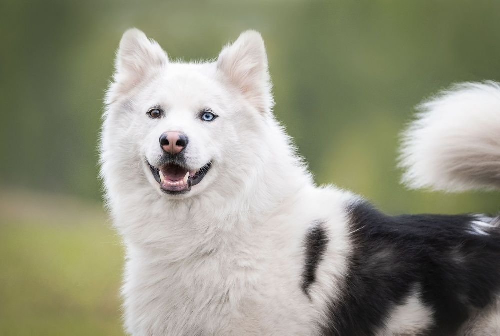 Photograph by Екатерина