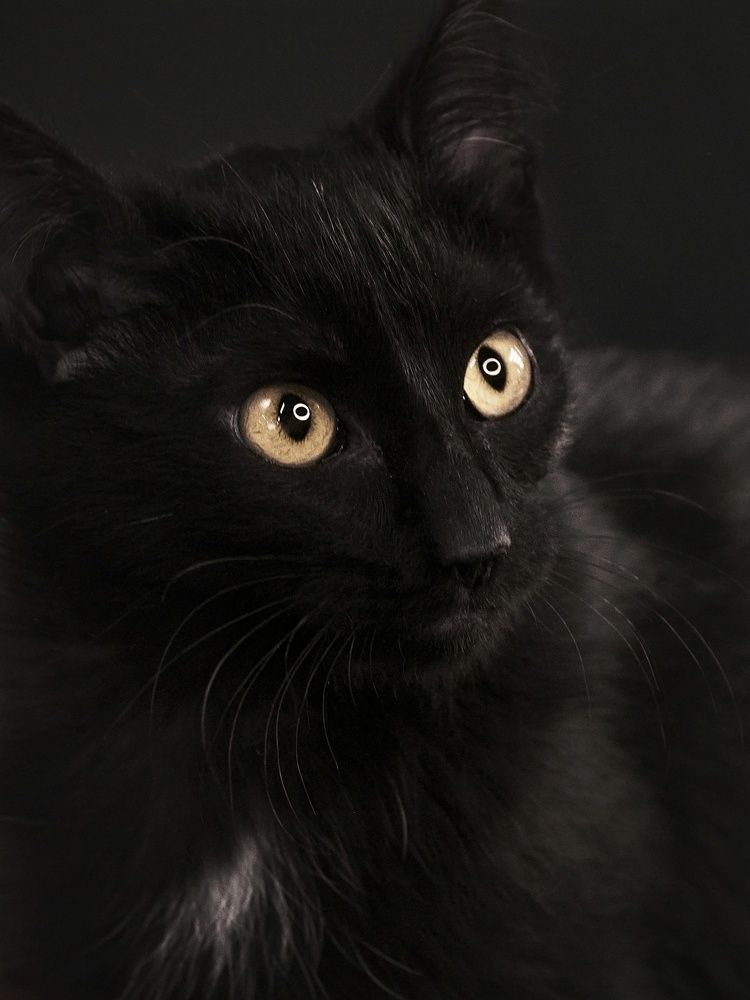 Photograph by Екатерина