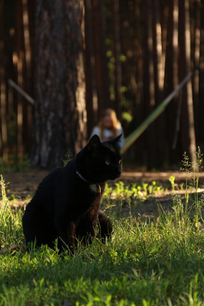 Photograph by Екатерина Филатова