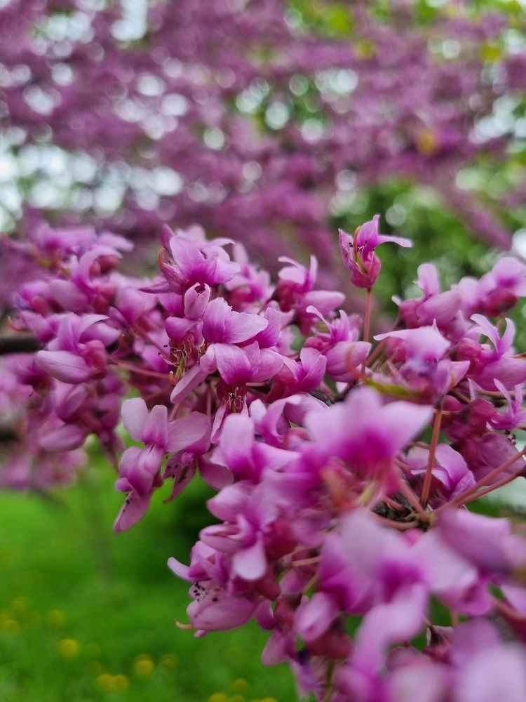 Photograph by Кетино Гвасалия