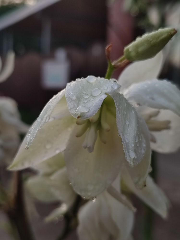 Фотография автора Таня Долгушева