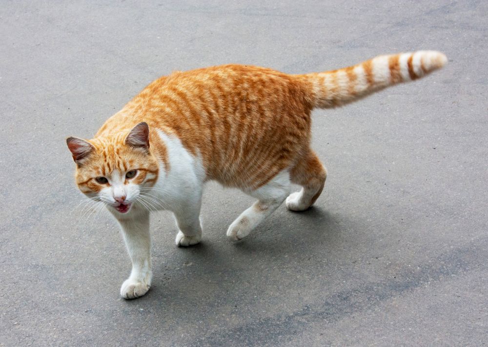 Photograph by Мария Самоловова