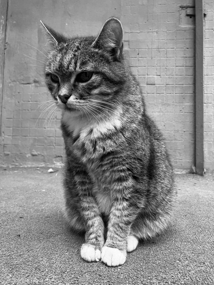 Photograph by Мария Карпычева