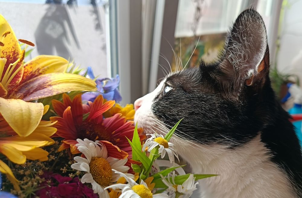 Photograph by Lyuba Moon