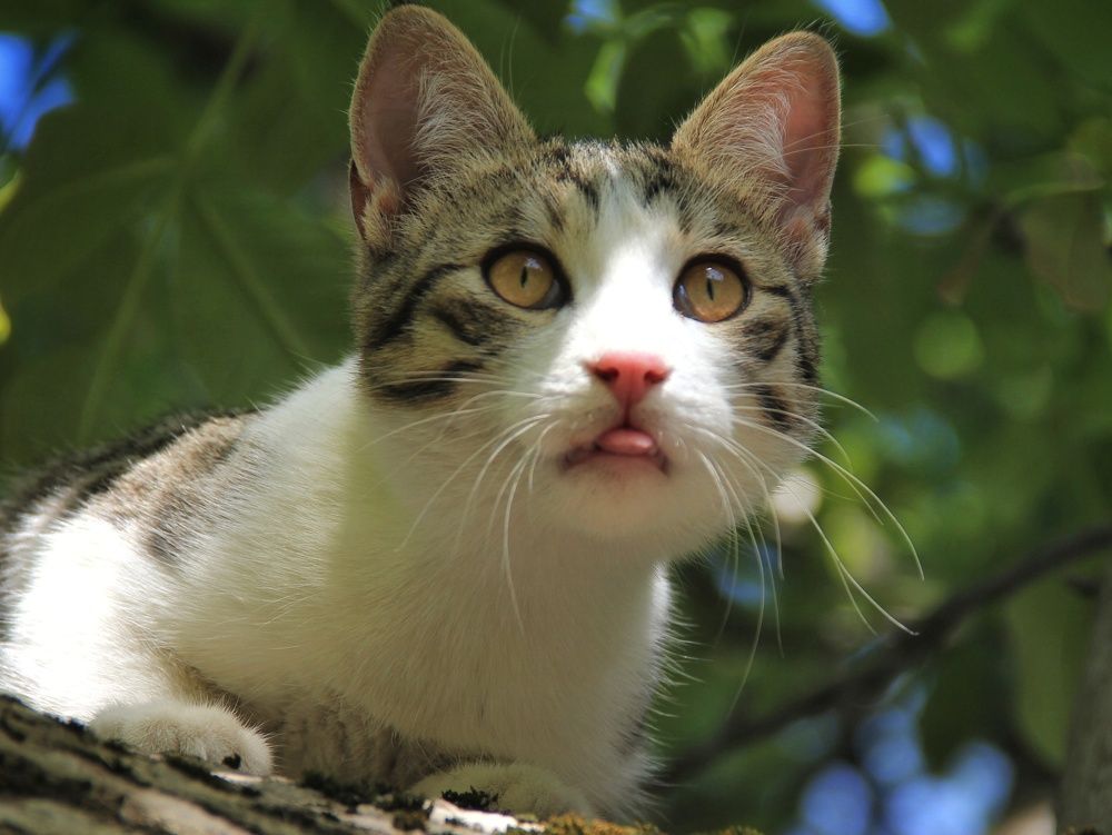 Photograph by Татьяна Долгушева