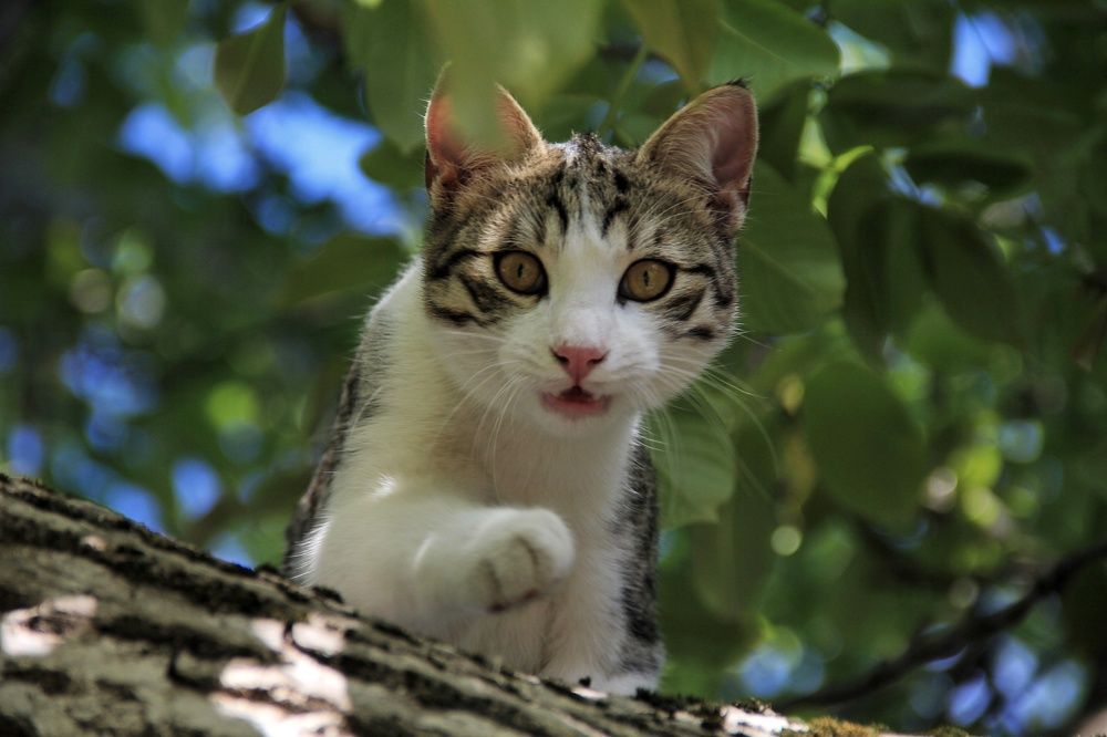 Photograph by Татьяна Долгушева