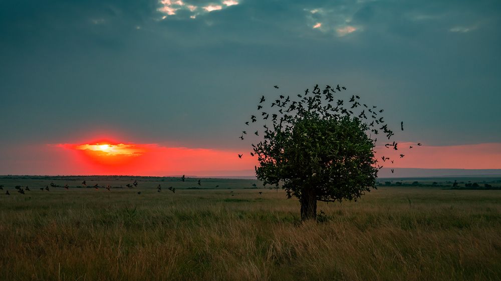 Photograph by Padmanabhan