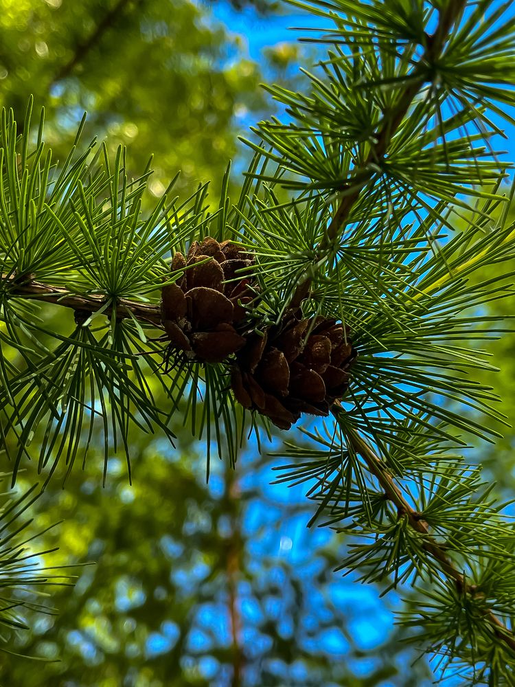 Photograph by Полина Мельникова