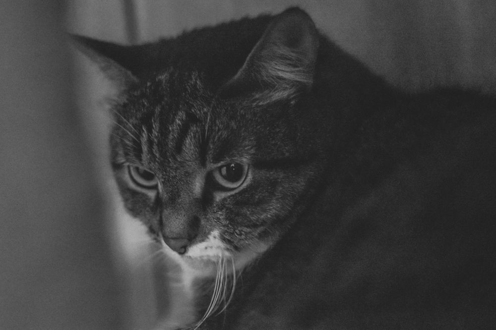 Photograph by Строганова Надежда