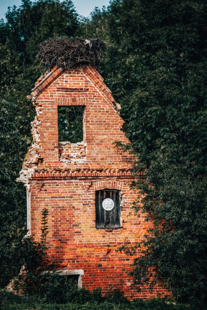 Photograph by Leanid Kulpo