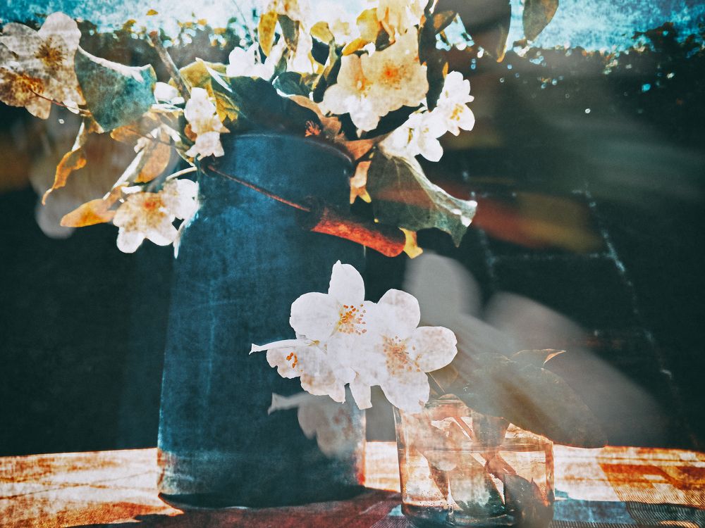 Синий бидон