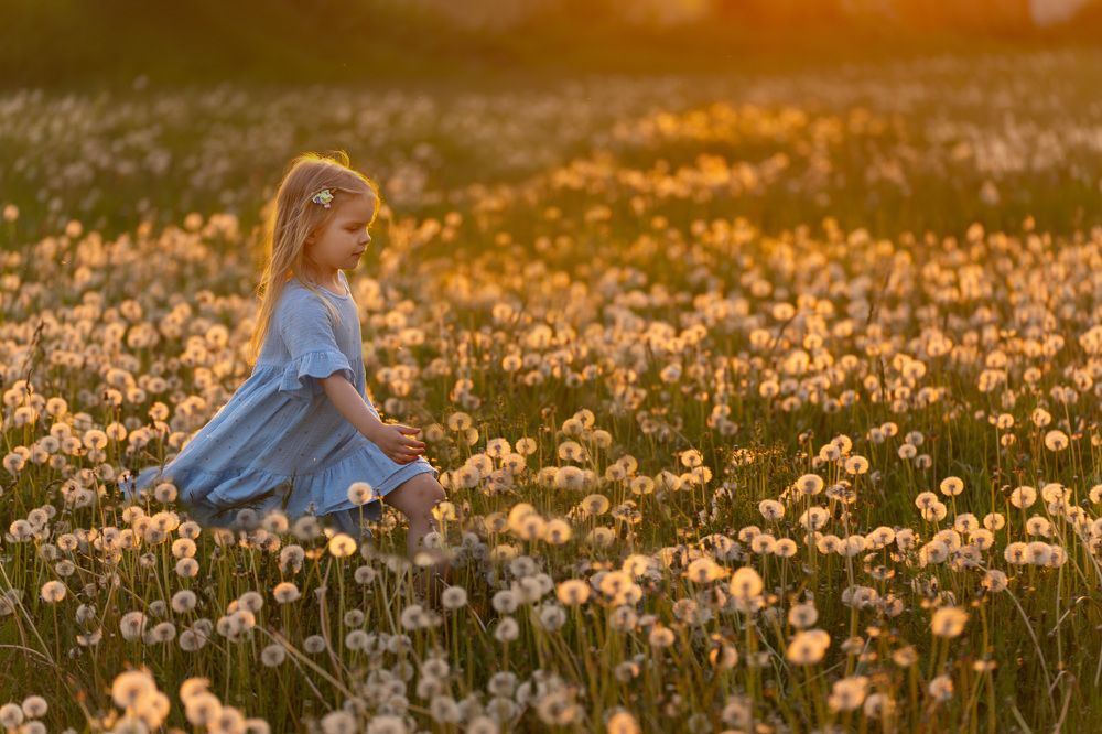 Фотография автора Светлана Зимина