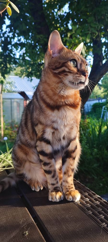 Photograph by Григорий Полосин
