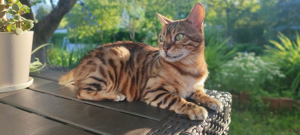 Photograph by Григорий Полосин
