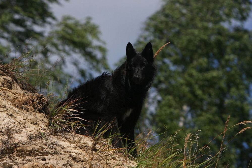 Фотография автора Надежда Лисицына