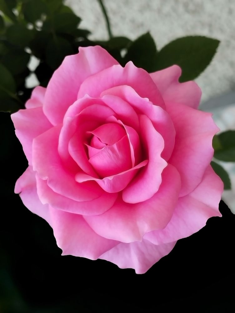 Photograph by Jasna Dragun