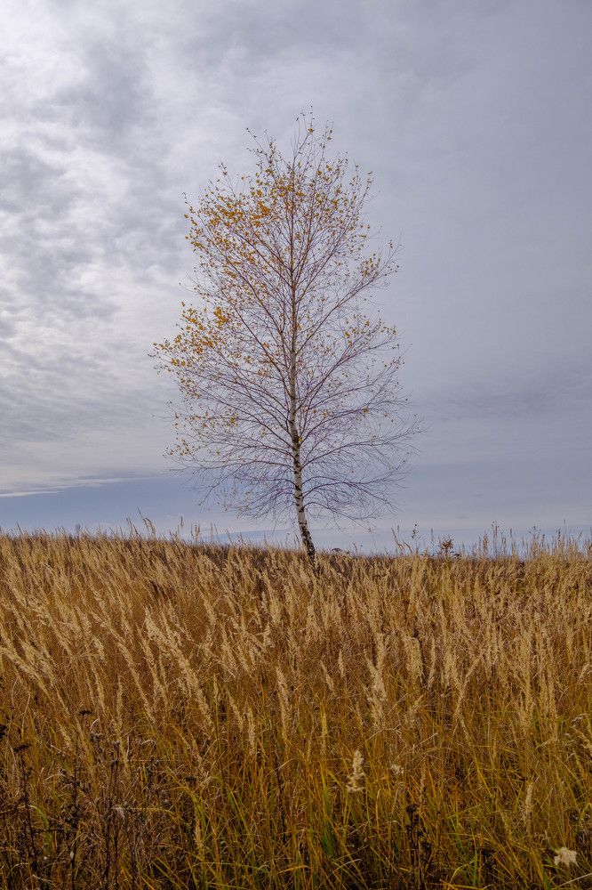 Photograph by Александр Корженков