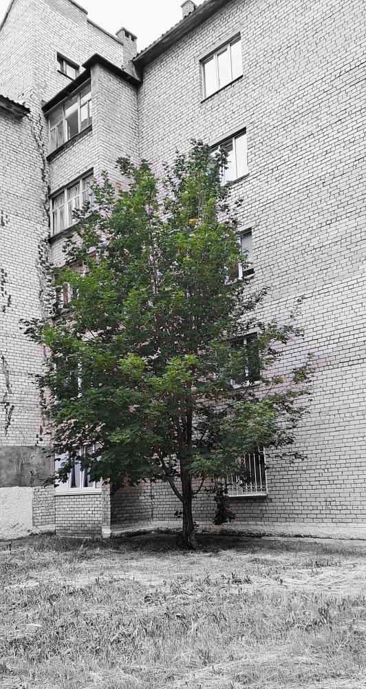 Photograph by Александра