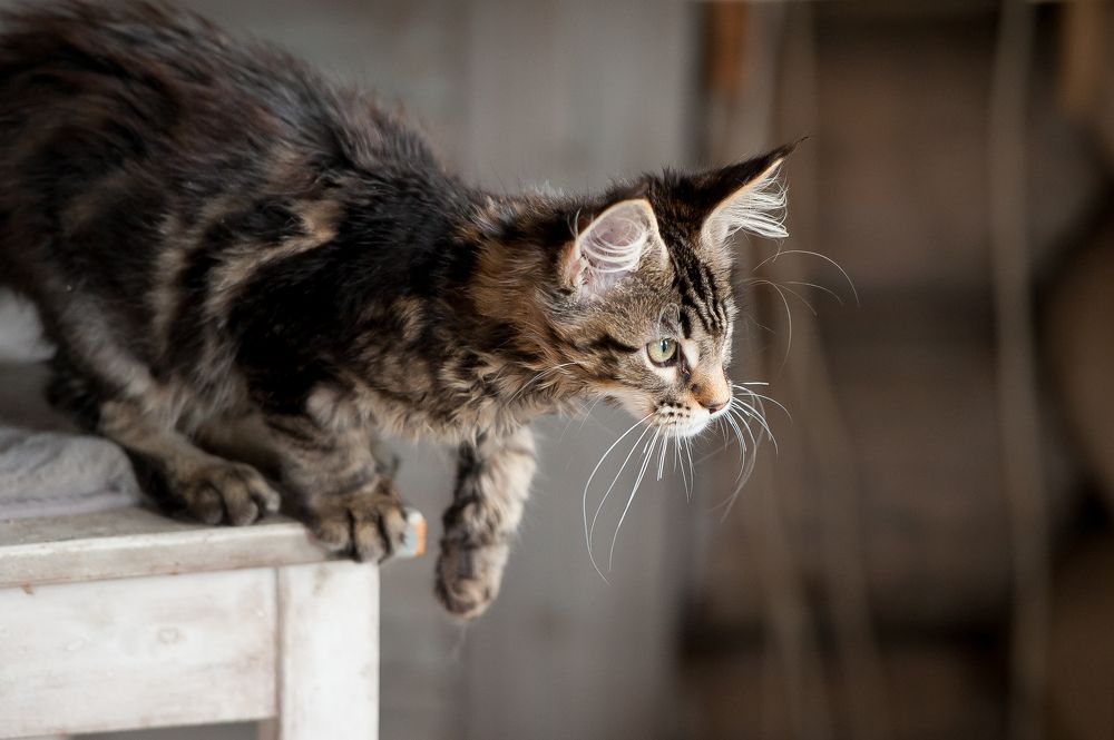 Photograph by Ирина Логовская