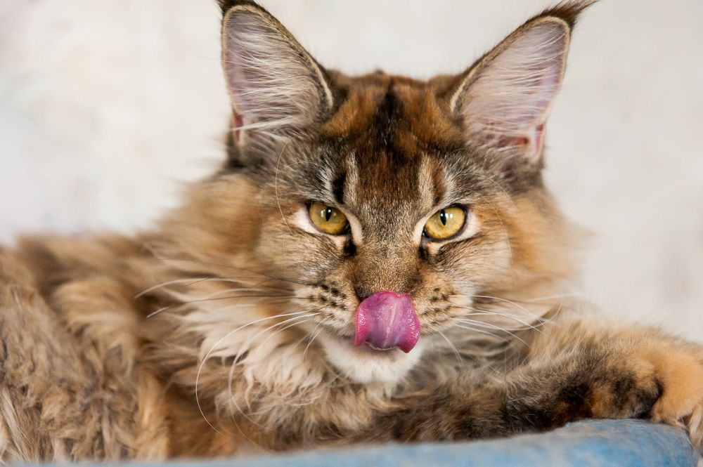 Photograph by Ирина Логовская