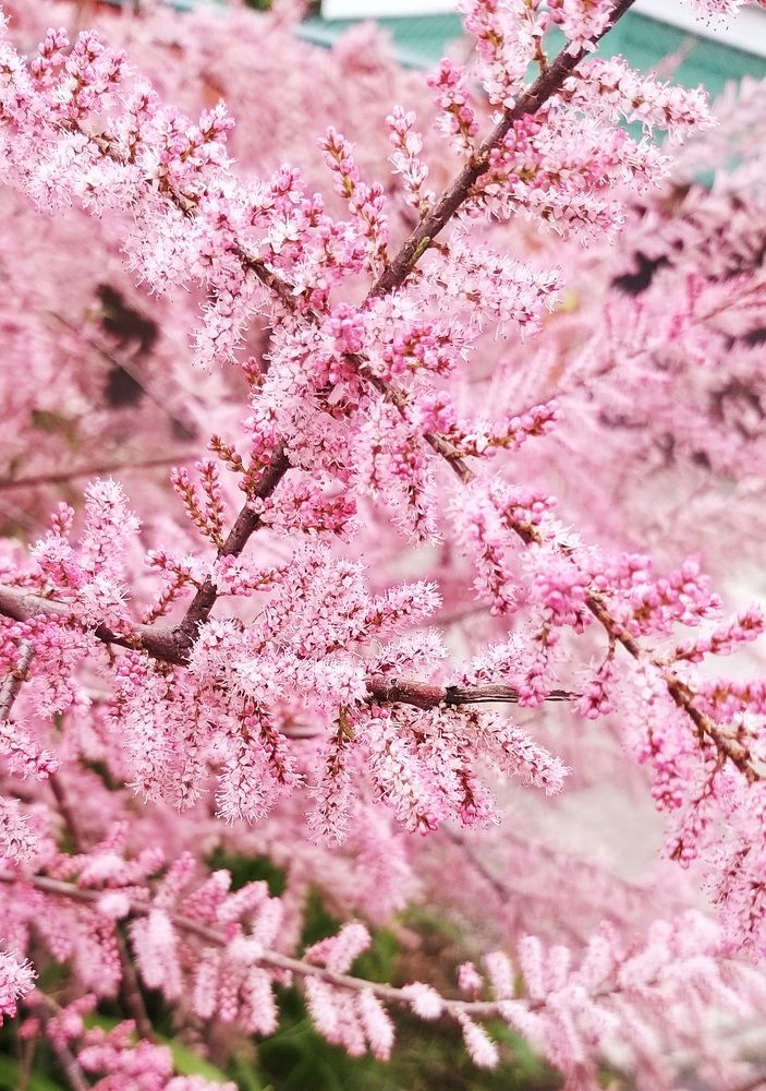 Photograph by София Лаврентьева