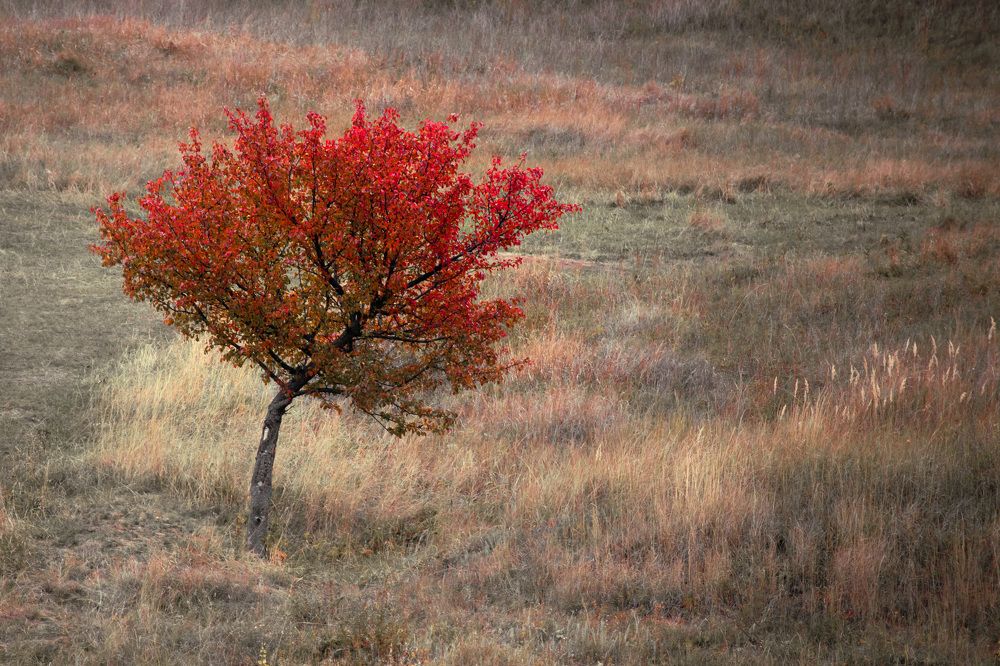 Photograph by Иван Мосьянов