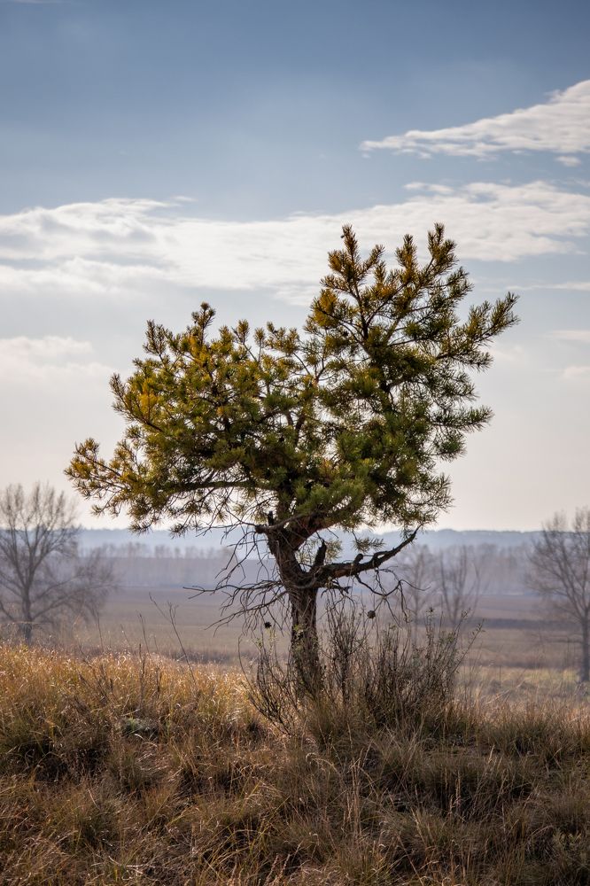 Photograph by Иван Мосьянов
