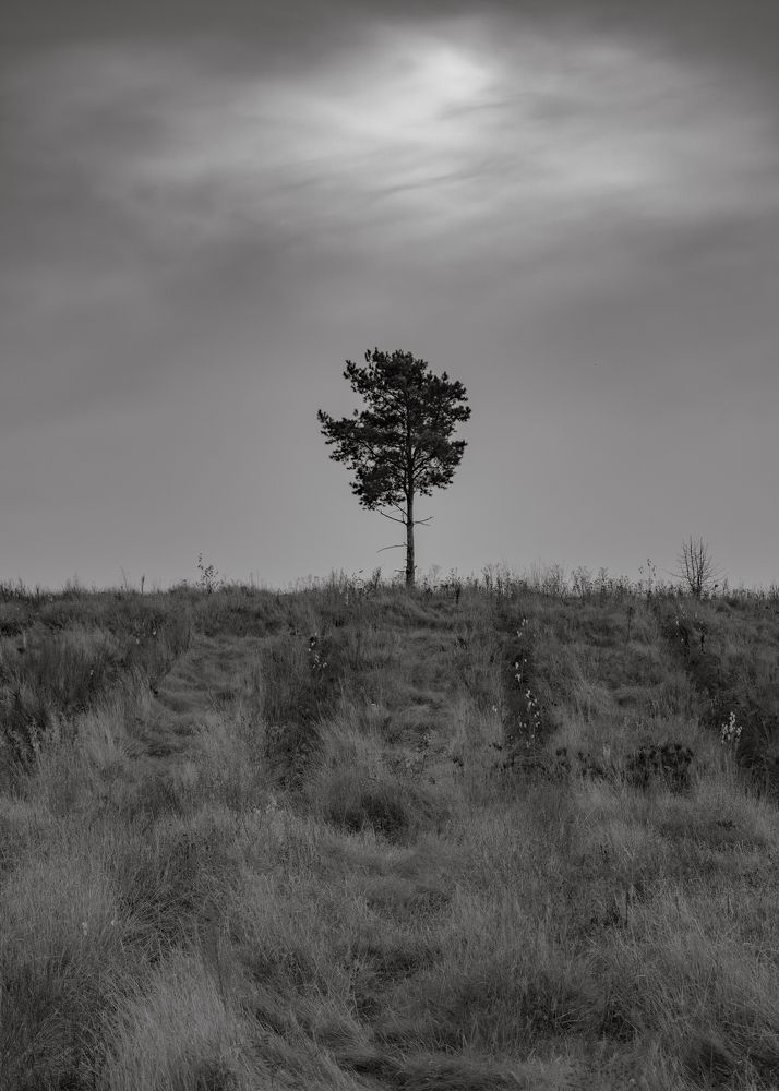 Photograph by Иван Мосьянов