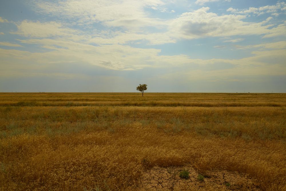 Photograph by Дмитрий Пасынков