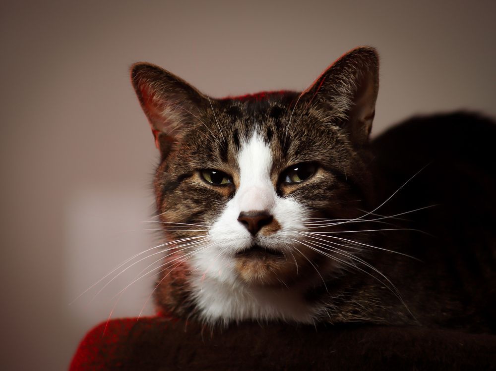 Photograph by Lathanuel Filliol