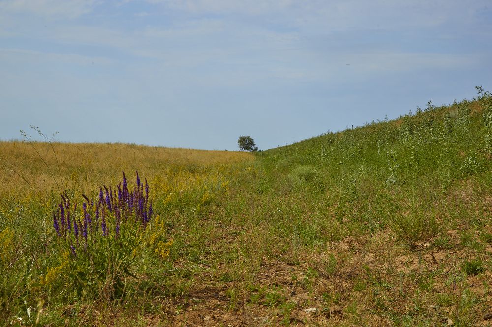 Photograph by Дмитрий Пасынков