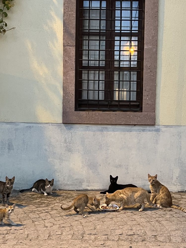 Photograph by Евгения Мягкова