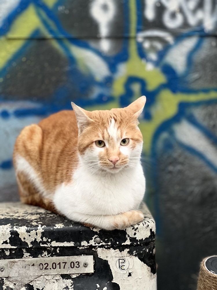 Photograph by Евгения Мягкова