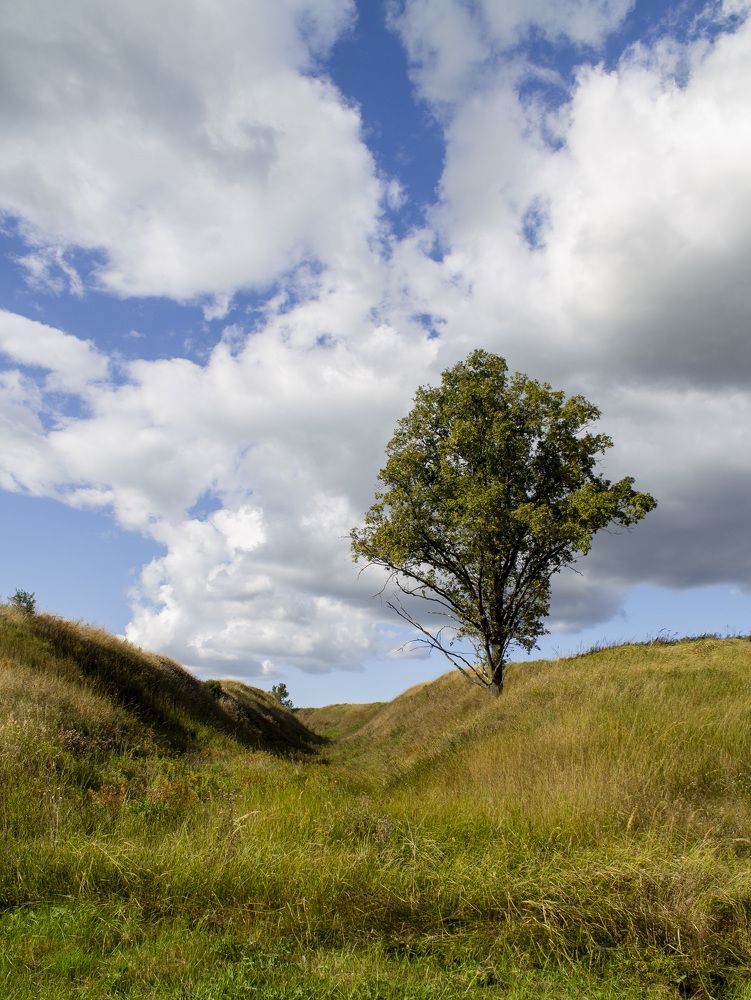 Photograph by Solomonov Evgeniy