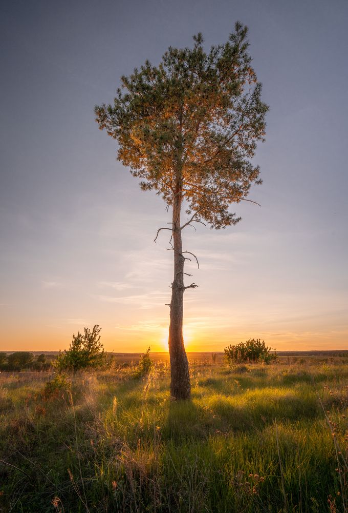 Photograph by Иван Мосьянов
