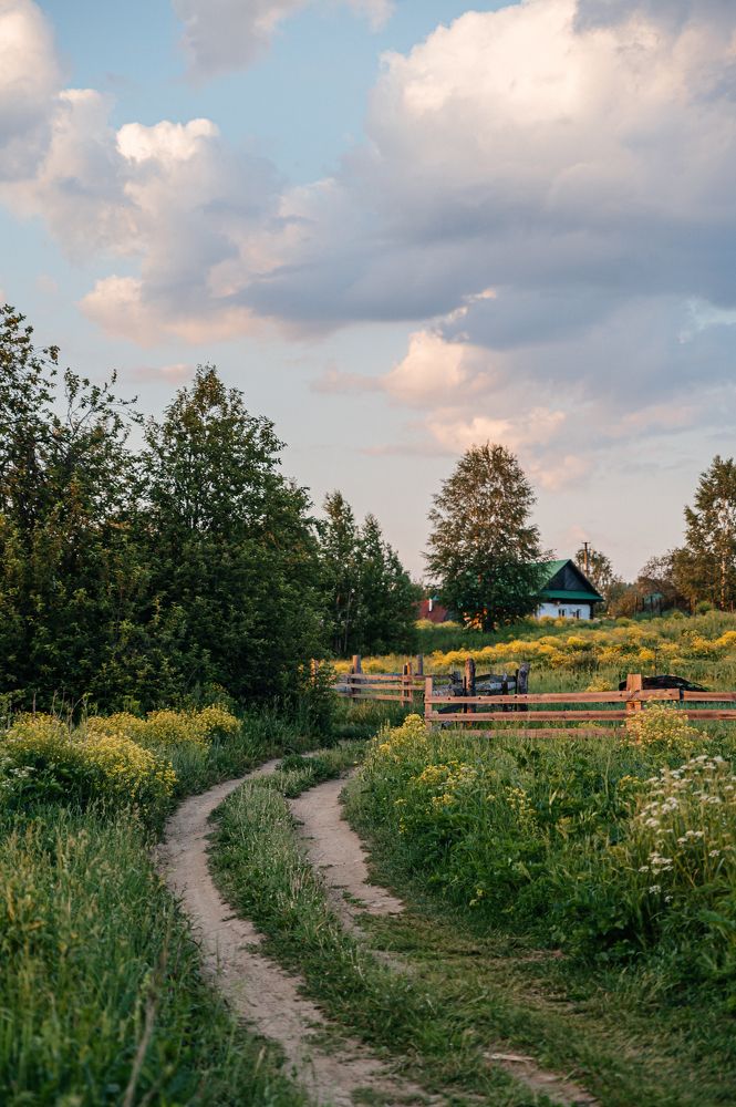 Photograph by Лариса Метелева