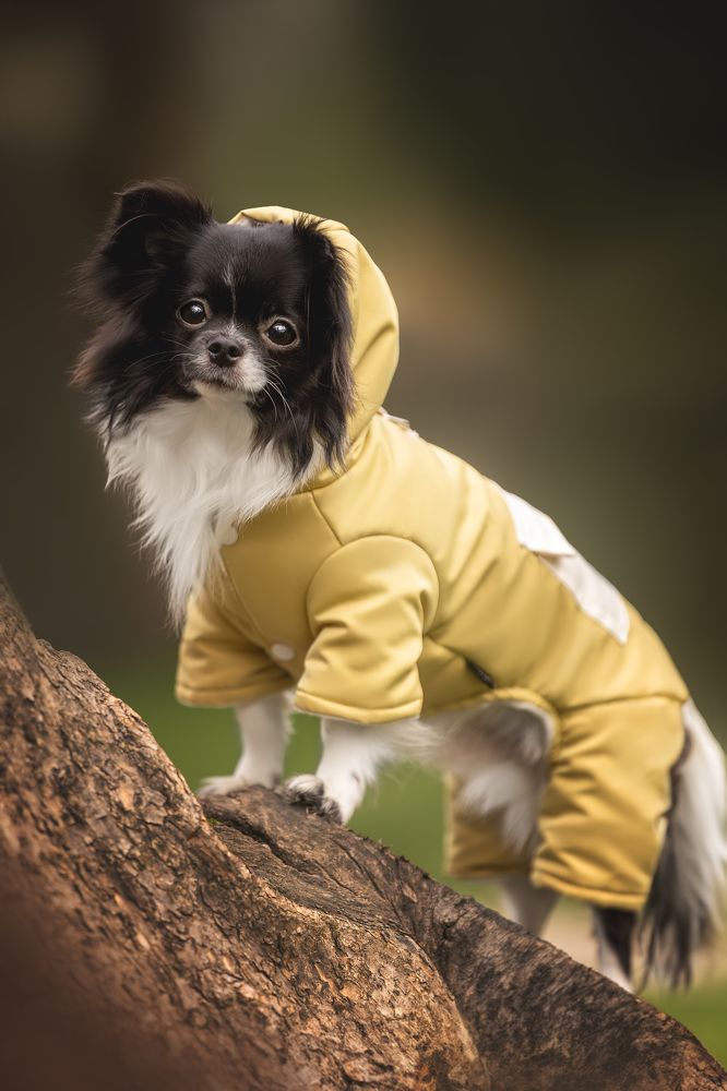 Photograph by Ирина Голомб