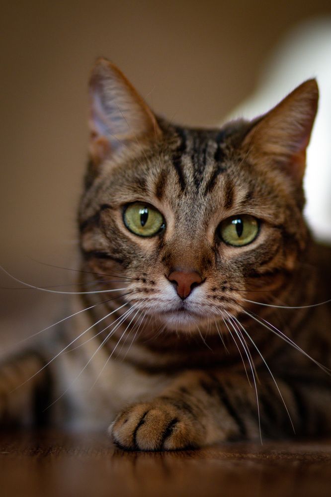 Photograph by Дмитрий Костяков