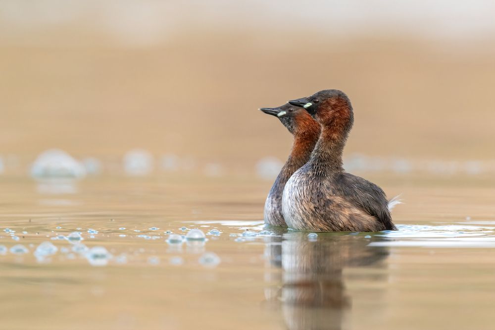 Photograph by Eren Aksoylu