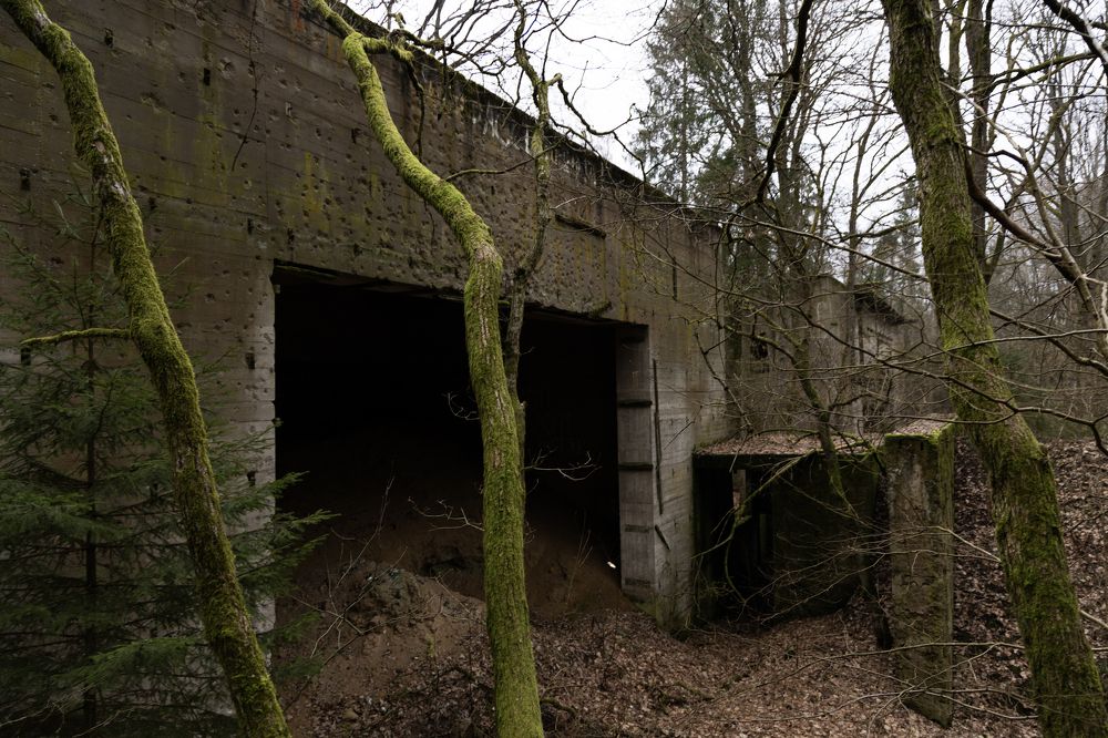 Photograph by Андрей Боиц