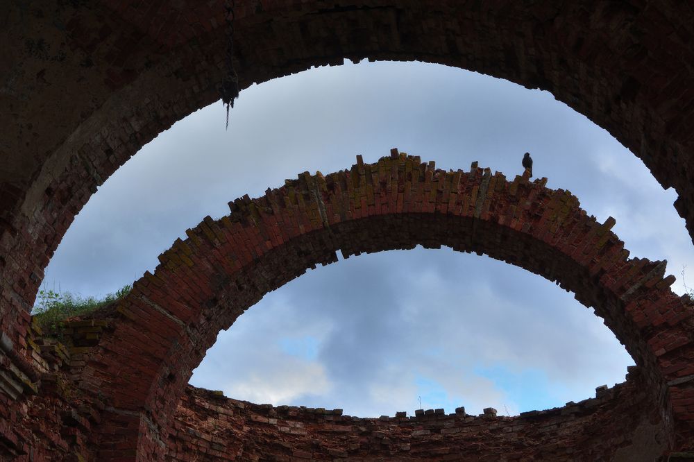 Photograph by Александр Калегин