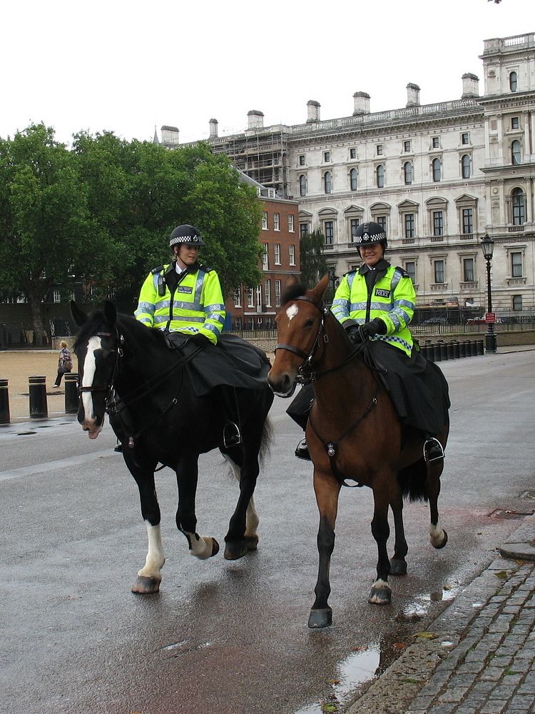 Фотография автора Игорь Семеновский